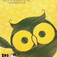 Owl About