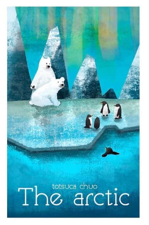 The Arctic