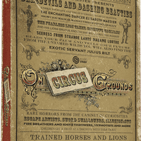 On Circus Grounds