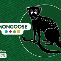 Mongoose