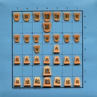 Tori Shogi